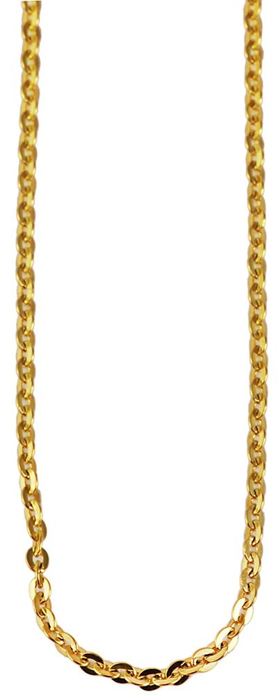 "Tiessa" Akzent Edelstahl Ankerkette Gr 40 cm/ 2 mm, goldfarben